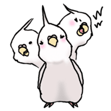 Happy Birds day! Hiyori and Apollo sticker #3763924