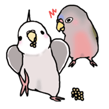 Happy Birds day! Hiyori and Apollo sticker #3763925