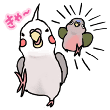 Happy Birds day! Hiyori and Apollo sticker #3763926