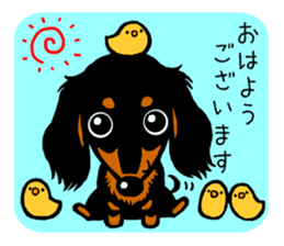 a dachshund club sticker #3764207