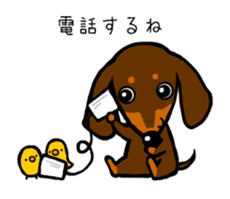 a dachshund club sticker #3764224