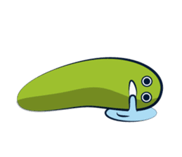 Sea cucumbers sticker #3766512