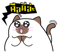 Maewza, The Cat sticker #3769451