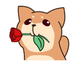 Chibi Shiba Kun sticker #3770363
