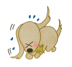 Dachs Chiffon sticker #3771679