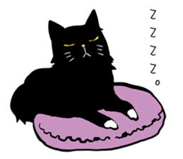 Stylish Cute Black and White Cats sticker #3772430