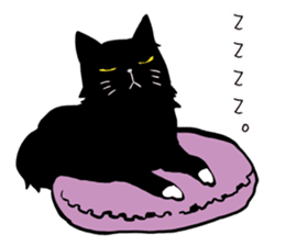 Stylish Cute Black and White Cats sticker #3772430