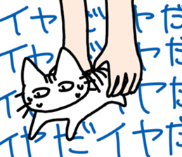 Cat striped and black sticker #3773106