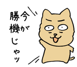 Big prediction of a cat sticker #3774425