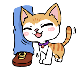 Happy Life Of Kitty MOMO sticker #3774849