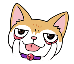 Happy Life Of Kitty MOMO sticker #3774860