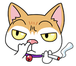 Happy Life Of Kitty MOMO sticker #3774862