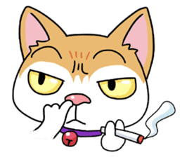 Happy Life Of Kitty MOMO sticker #3774862