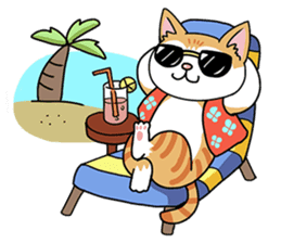 Happy Life Of Kitty MOMO sticker #3774869