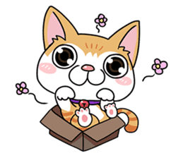 Happy Life Of Kitty MOMO sticker #3774883