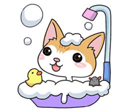 Happy Life Of Kitty MOMO sticker #3774886