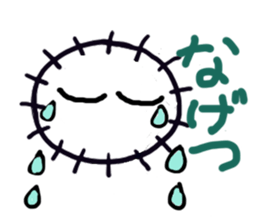 Southern valve sea urchin sticker #3775798