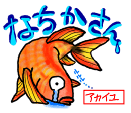 Okinawa'n Local fishes Sticker sticker #3776074