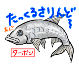 Okinawa'n Local fishes Sticker sticker #3776086