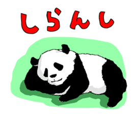 pandakun sticker #3781142