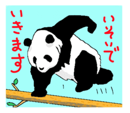 pandakun sticker #3781148