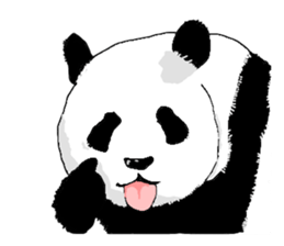 pandakun sticker #3781151