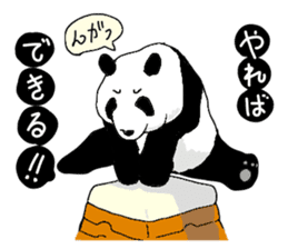 pandakun sticker #3781153