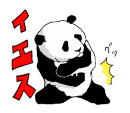 pandakun sticker #3781155
