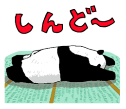 pandakun sticker #3781160