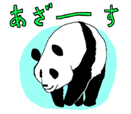 pandakun sticker #3781162