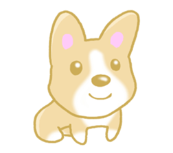 Sticker of Pembroke Welsh Corgi! sticker #3782016