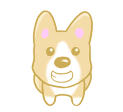Sticker of Pembroke Welsh Corgi! sticker #3782017