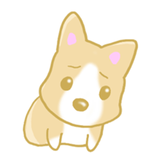 Sticker of Pembroke Welsh Corgi! sticker #3782021