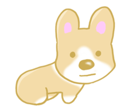 Sticker of Pembroke Welsh Corgi! sticker #3782026