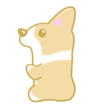 Sticker of Pembroke Welsh Corgi! sticker #3782031