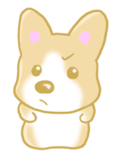 Sticker of Pembroke Welsh Corgi! sticker #3782034
