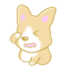 Sticker of Pembroke Welsh Corgi! sticker #3782036