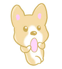 Sticker of Pembroke Welsh Corgi! sticker #3782039