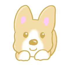 Sticker of Pembroke Welsh Corgi! sticker #3782040