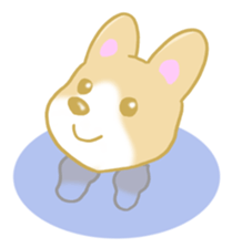 Sticker of Pembroke Welsh Corgi! sticker #3782054