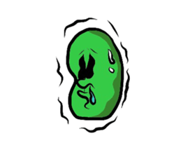 Fairy Mameo 35.9 years old your beans sticker #3782240