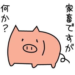 tonkichi and tonJiro