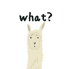alaki's alpaca making fun