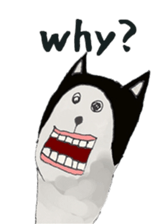 alaki's alpaca making fun sticker #3787897