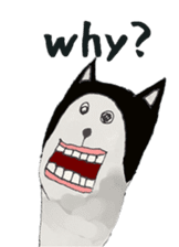 alaki's alpaca making fun sticker #3787897