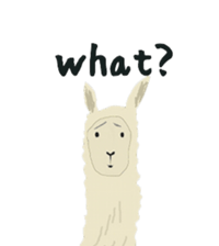 alaki's alpaca making fun sticker #3787900