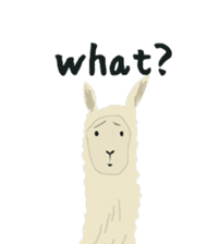 alaki's alpaca making fun sticker #3787900