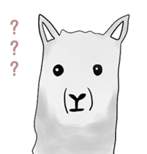 alaki's alpaca making fun sticker #3787912
