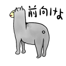 alaki's alpaca making fun sticker #3787913