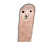 alaki's alpaca making fun sticker #3787921